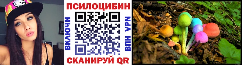 Купить где  Щёлково  Псилоцибиновые грибы Psilocybe 